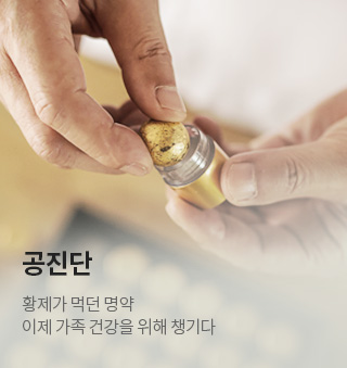 공진단